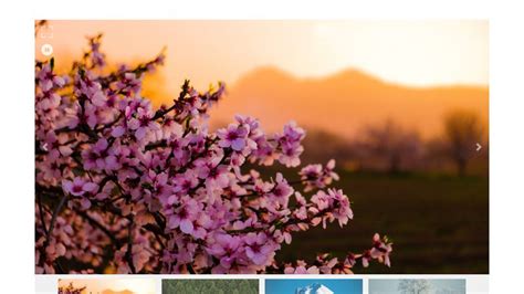 Bootstrap 4 Carousel w/ Thumbnails & Lightbox.